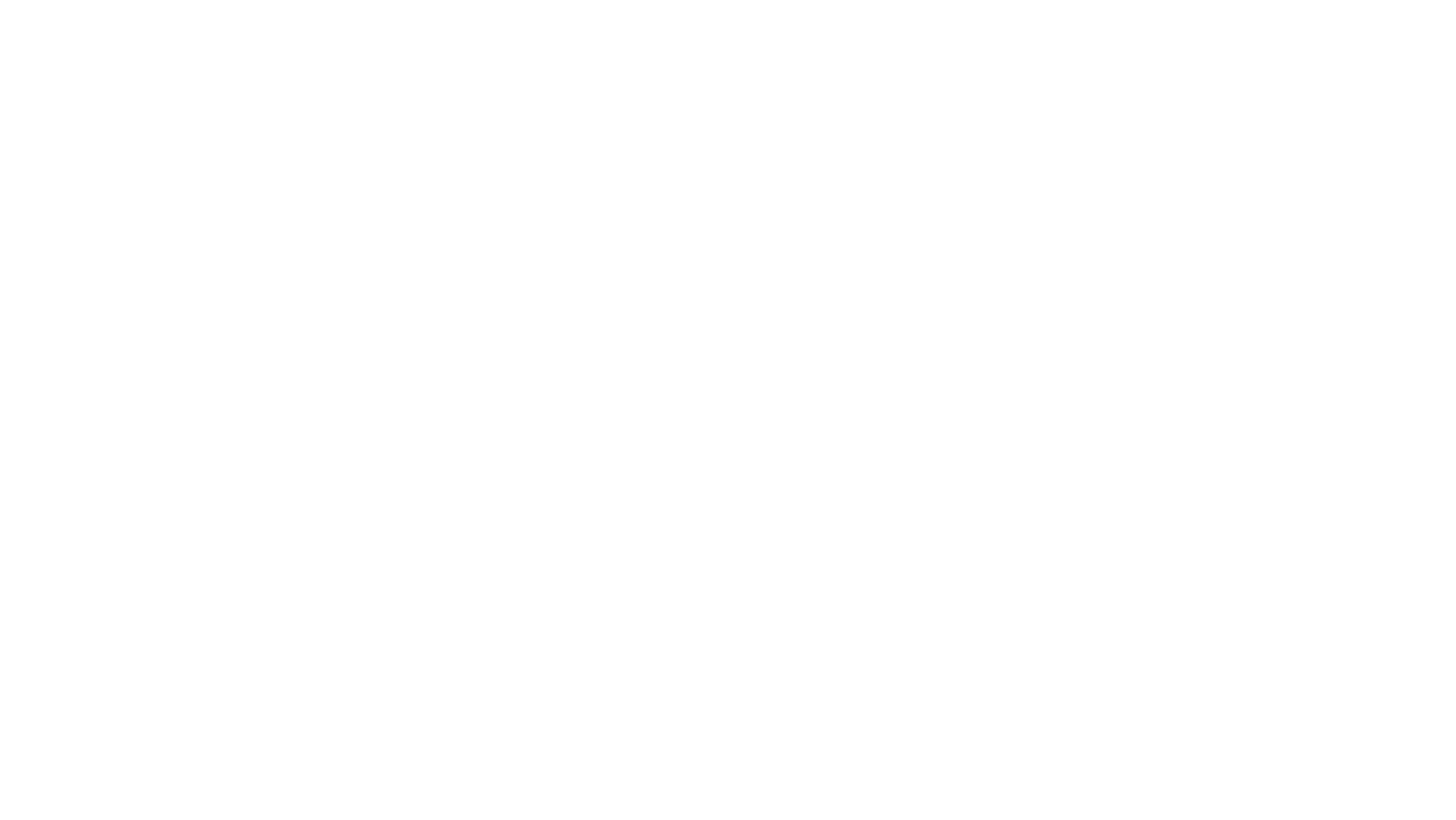 CAYO Holding